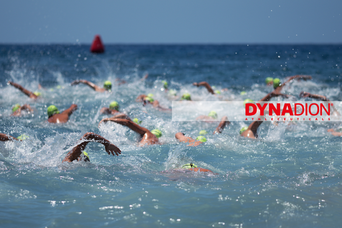 Sailfish Night of the Year